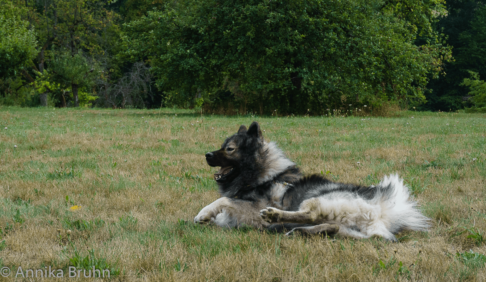 Q genießt die Spielzeit